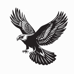 Fototapeta premium Powerful Buzzard Bird Landing With Wings Spread Vector Illustration