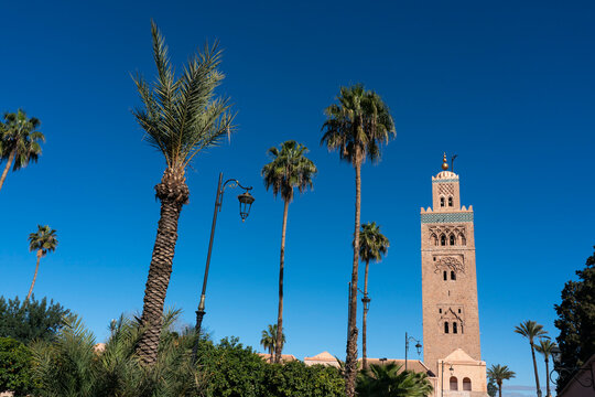 Minaret of Koutoubia Mosque stands tall among palm trees in Marrakech under clear blue skies