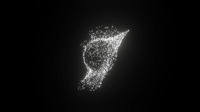 white particle sphere morphing into fluid shape animation.   

abstract particle transformation on black background.  
organic particle flow sphere motion graphics.  