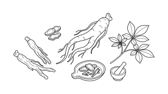Fresh ginseng root with leaves and traditional medicinal bowl