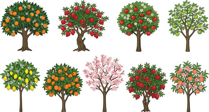 Isolated fruit tree vector set with orange apple lemon pomegranate and flowering orchard trees