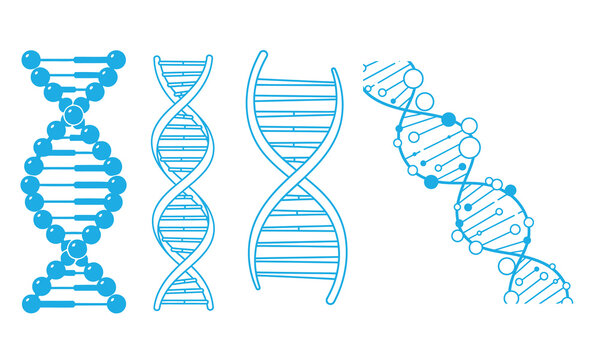 Dna structure illustrations double helix genetic code and molecular biology concepts