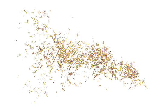 dried chopped thyme leaves, isolated on white background, top view 