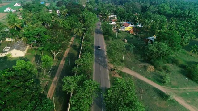 Aerial view of car driving on tree-lined rural road through village houses and greenery