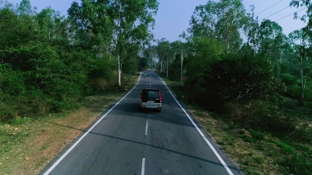 A vehicle drives along a tree-lined rural road in daylight, flanked by greenery