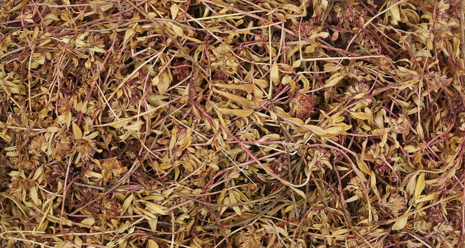 Dried chopped thyme leaves, background and texture