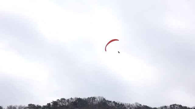 Paraglider flying over wooded hill
