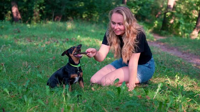 Woman plays with her cheerful pet Deutscher Jagdterrier dog outside during summertime. Funny playful puppy on grass lawn during summer. Pet humanization caregiving