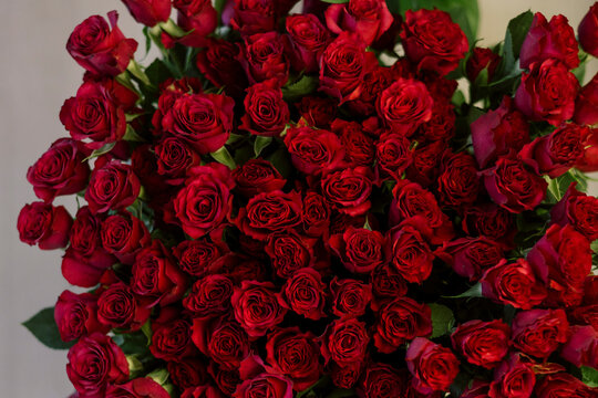 Top view close-up of a bouquet of small red spray roses.