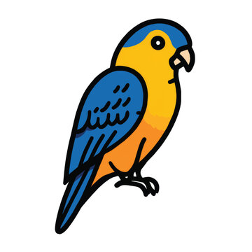 Colorful Parrot Bird Species Portrait.