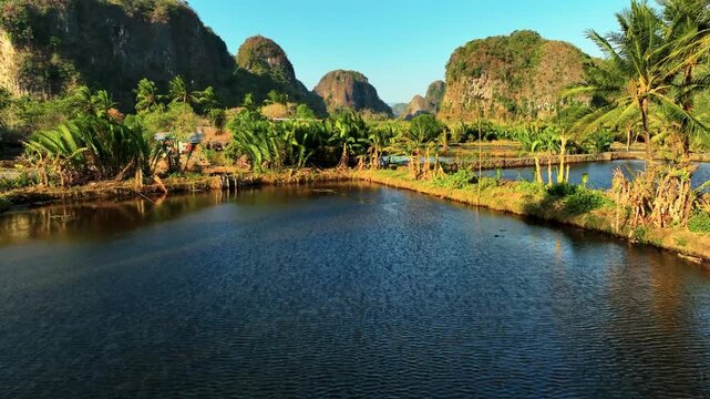 Aerial view of fish ponds surrounded by lush palm trees and limestone karst hills under a clear sky in Maros, South Sulawesi, Indonesia.