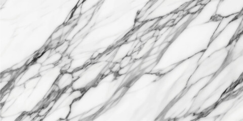 Frozen patterns of ice and snow create a striking black and white abstract landscape where nature meets the cold textures of stone and water © Alpha Designs