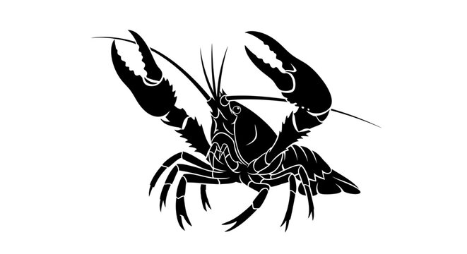 Black silhouette of a crayfish with claws raised