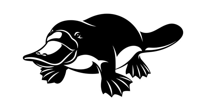 Black and white platypus graphic design
