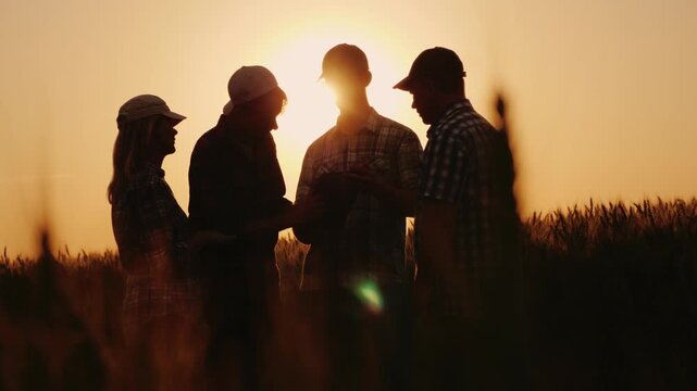 Silhouettes of four farmers discussing harvest at sunset, looking at a tablet and shaking hands in a golden wheat field.