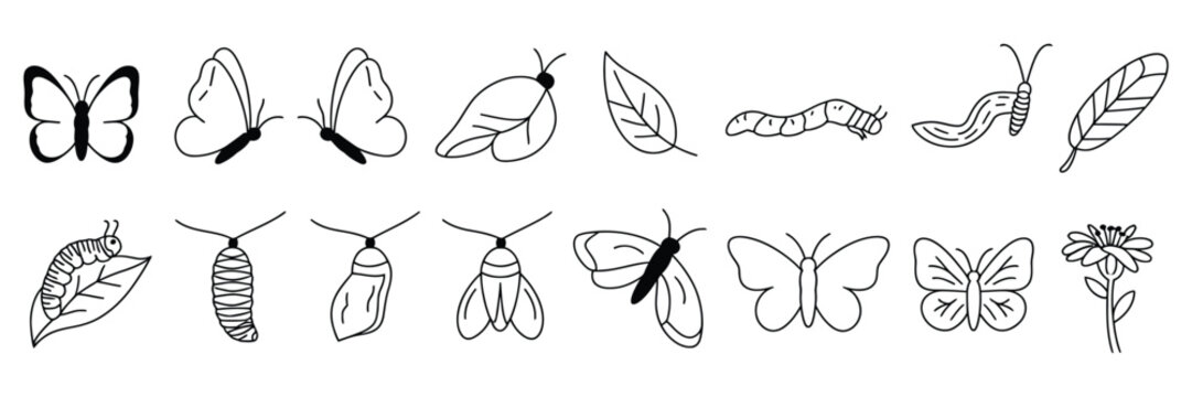 Butterfly life cycle vector icon set, educational illustration showing complete metamorphosis stages from egg, larva, pupa to butterfly.