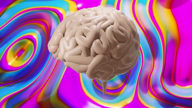 Playback starting, 3D brain rotating and bobbing across colorful rings, showcasing glossy gyri