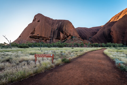 Walking Trail Around Uluru with Desert Grass and Red Sandstone Formations