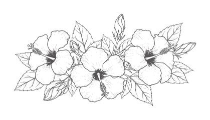 Hand drawn black and white hibiscus flowers and leaves arrangement floral botanical © Mosa