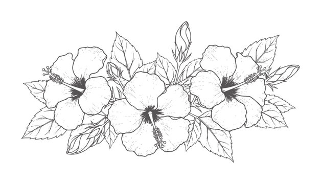 Hand drawn black and white hibiscus flowers and leaves arrangement floral botanical