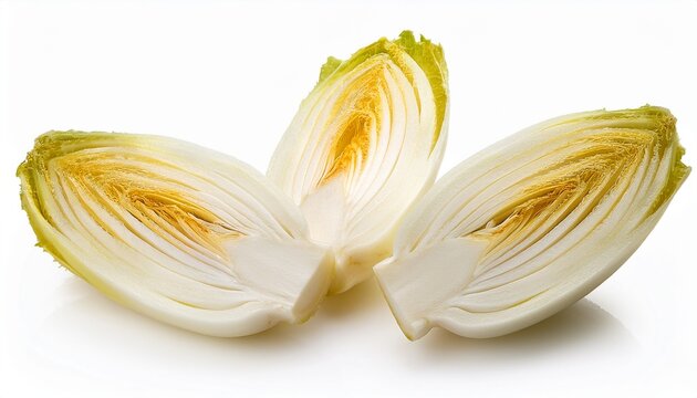 fresh chicory endive halves isolated white background