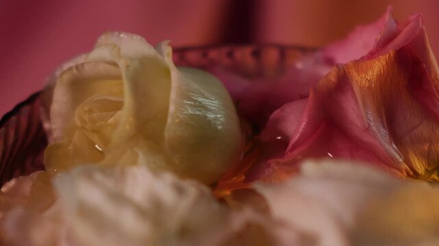 Cinematic macro of eustoma flowers with water droplets in a ribbed glass