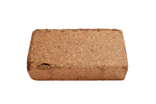 Compressed coconut coir brick for gardening, showcasing natural fibers and texture, ideal for soil amendment and plant growth enhancement in various gardening applications