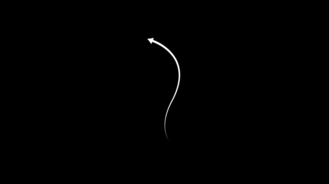 Dotted line arrow animation, Downward Zigzag Arrow Animation, Zigzag arrow pointing down, Line Arrow Animation, white straight arrows animation, Thin dotted line arrow animation on black background,