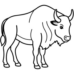 Fototapeta premium Wild Bison Line Art Design Editable