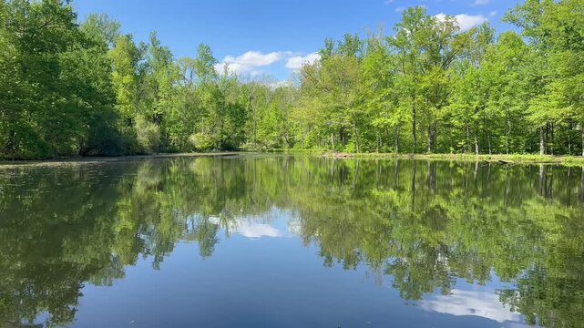A Calm Fishing Pond on a Spring Day