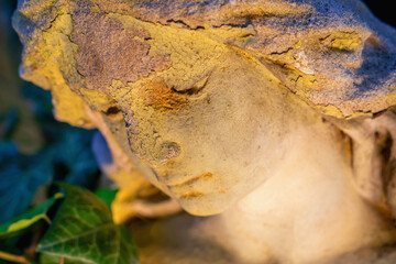 Naklejka premium Weathered angel statue closeup with peeling stone texture and ivy