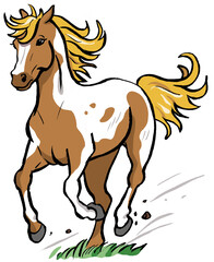 American Paint Horse im Galopp, braun gescheckt © TOONCAFE