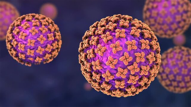 Hantavirus particles, 3D animation showing multiple virions slowly drifting, causative agents of hantavirus pulmonary syndrome and haemorrhagic fever with renal syndrome.