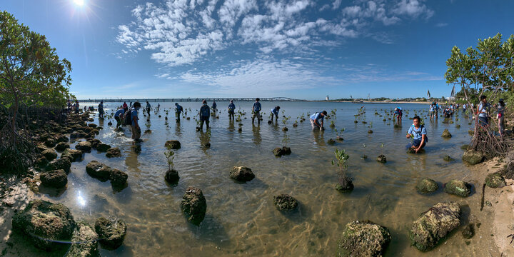 Promoting Coastal Conservation: Community Workshops on Rocky Shorelines for Biodiversity Restoration and Citizen Science Exploration