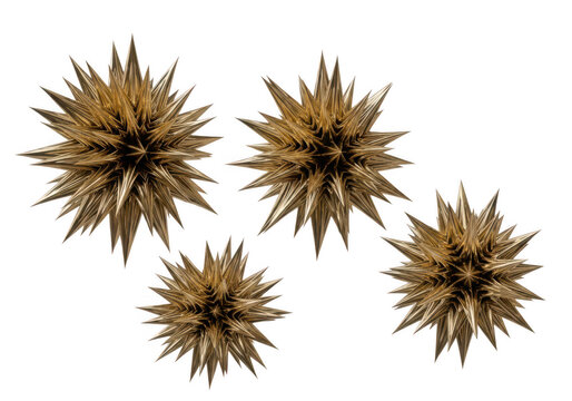 Cluster of stylized sea urchins floating in a light background isolated on transparent background png