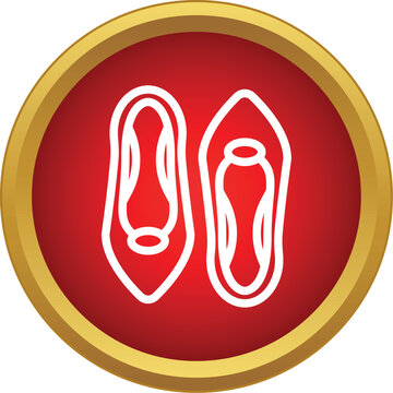 Pair of ethnic footwear with a pointed toe presenting cultural heritage
