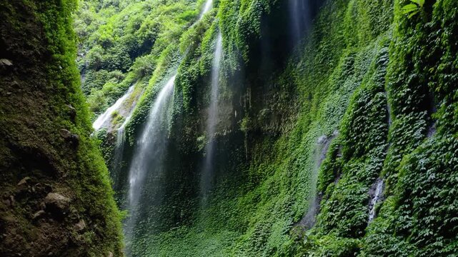 Aerial view of Madakaripura Waterfall with water cascading down mossy green cliffs in a deep canyon in Kecamatan Lumbang, Jawa Timur, Indonesia.