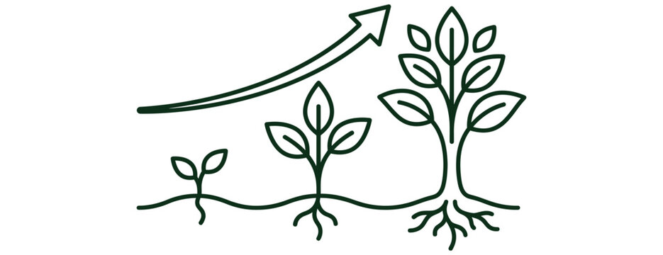 Plant growth stages natural development sustainable progress upward arrow concept icon
