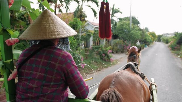 Vietnam woman with conical hat guiding a horse drawn carriage through a rural village road in vietnam for tourism