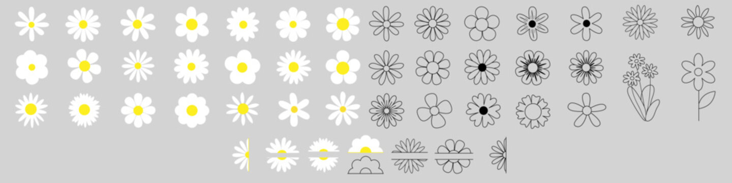 Daisy flowers icon vector set. Daisy Illustration sign collection. Chamomile symbol. flowers logo.