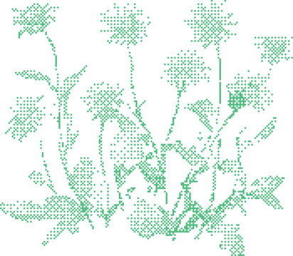 Delicate green dandelions blooming in soft natural light with a clean background for graphic design