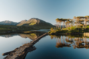 Fototapeta premium Twelve Pines Island reflects in calm Derryclare Lough as evening light touches the trees and Connemara mountains in County Galway. A serene landscape of one of western Irelands best known views.