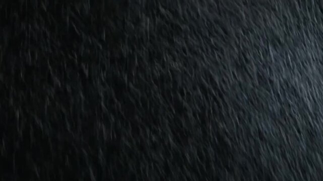 Shadowy Fur Texture Overlay - High Res