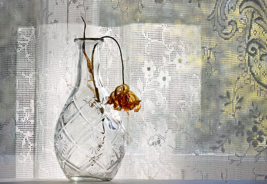 A glass vase with one faded tulip