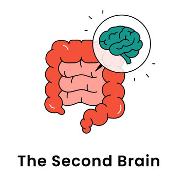 The Second Brain icon, Enteric Nervous System Concept for Gut Health and Cognitive Function, Intestines and Brain Symbol for Psychological Wellness and Digestive Connection icon