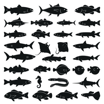 Black silhouettes of various fish species.