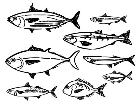 手描きペンタッチお魚イラストセット