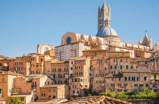 Siena, medieval town in Tuscany view of the Dome and Bell Tower of Siena Cathedral, Basilica of San Domenico, Italy
