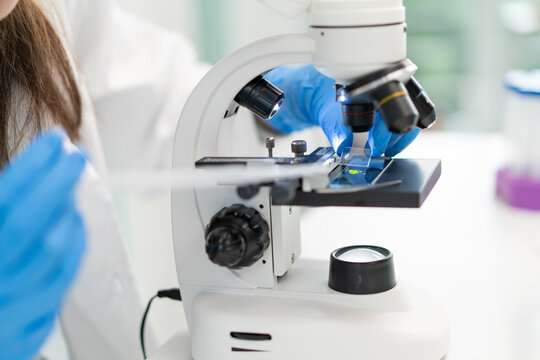 researcher using microscope analyse cell in medical lab.