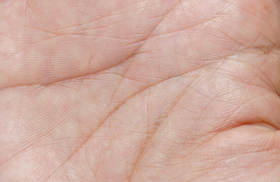 Extreme Close-up of Human Palm Lines and Skin Texture,A high-resolution macro shot showing the intricate details of human palm lines, skin pores, and dermatoglyphics texture. This image highlights.